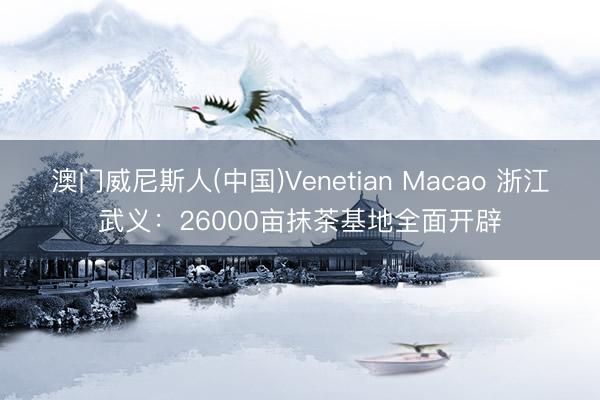 澳门威尼斯人(中国)Venetian Macao 浙江武义：26000亩抹茶基地全面开辟