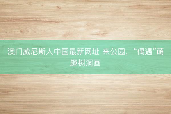澳门威尼斯人中国最新网址 来公园，“偶遇”萌趣树洞画