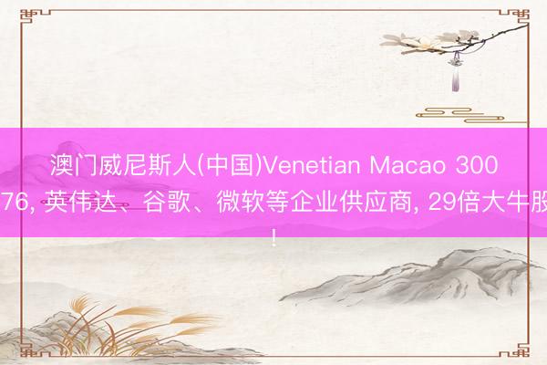 澳门威尼斯人(中国)Venetian Macao 300476， 英伟达、谷歌、微软等企业供应商， 29倍大牛股!