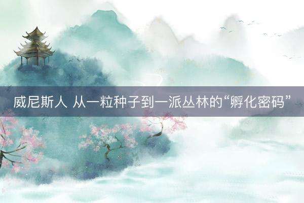 威尼斯人 从一粒种子到一派丛林的“孵化密码”