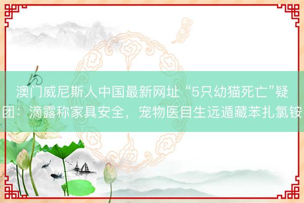 澳门威尼斯人中国最新网址 “5只幼猫死亡”疑团：滴露称家具安全，宠物医目生远遁藏苯扎氯铵