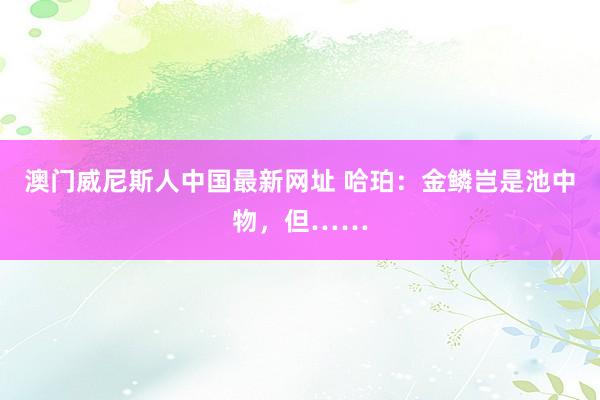 澳门威尼斯人中国最新网址 哈珀：金鳞岂是池中物，但……